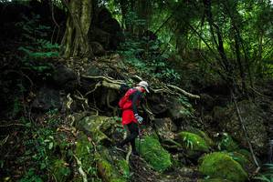 BIB: 
                            <button type="button" onclick="openModal(25198285)" class="btn btn-primary btn-sm float-right btn-popup" data-toggle="modal" data-target=".modal-high-quality">
                        <i class="fas fa-shopping-cart"></i> Add to Cart
                    </button>
                                            <button type="button" onclick="isThisMe(25198285, true)" class="btn btn-success btn-sm float-right btn-popup btn-isme hidden" data-toggle="tooltip" data-placement="bottom" title="นี่คือรูปของคุณใช่ไหม คลิกที่นี่เพื่อเอาเข้าอัลบั้ม">
                        <i class="fas fa-plus"></i> Add to album
                    </button>
                    <button type="button" onclick="isThisMe(25198285, false)" class="btn btn-warning btn-sm float-right btn-popup btn-isnotme hidden">
                        <i class="fas fa-ban"></i> Remove from album
                    </button>