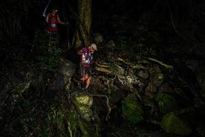 BIB: 
                            <button type="button" onclick="openModal(25201546)" class="btn btn-primary btn-sm float-right btn-popup" data-toggle="modal" data-target=".modal-high-quality">
                        <i class="fas fa-shopping-cart"></i> Add to Cart
                    </button>
                                            <button type="button" onclick="isThisMe(25201546, true)" class="btn btn-success btn-sm float-right btn-popup btn-isme hidden" data-toggle="tooltip" data-placement="bottom" title="นี่คือรูปของคุณใช่ไหม คลิกที่นี่เพื่อเอาเข้าอัลบั้ม">
                        <i class="fas fa-plus"></i> Add to album
                    </button>
                    <button type="button" onclick="isThisMe(25201546, false)" class="btn btn-warning btn-sm float-right btn-popup btn-isnotme hidden">
                        <i class="fas fa-ban"></i> Remove from album
                    </button>