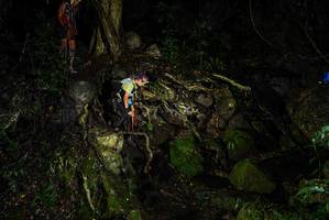 BIB: 
                            <button type="button" onclick="openModal(25201296)" class="btn btn-primary btn-sm float-right btn-popup" data-toggle="modal" data-target=".modal-high-quality">
                        <i class="fas fa-shopping-cart"></i> Add to Cart
                    </button>
                                            <button type="button" onclick="isThisMe(25201296, true)" class="btn btn-success btn-sm float-right btn-popup btn-isme hidden" data-toggle="tooltip" data-placement="bottom" title="นี่คือรูปของคุณใช่ไหม คลิกที่นี่เพื่อเอาเข้าอัลบั้ม">
                        <i class="fas fa-plus"></i> Add to album
                    </button>
                    <button type="button" onclick="isThisMe(25201296, false)" class="btn btn-warning btn-sm float-right btn-popup btn-isnotme hidden">
                        <i class="fas fa-ban"></i> Remove from album
                    </button>