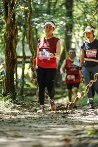 BIB: 
                            <button type="button" onclick="openModal(25203562)" class="btn btn-primary btn-sm float-right btn-popup" data-toggle="modal" data-target=".modal-high-quality">
                        <i class="fas fa-shopping-cart"></i> Add to Cart
                    </button>
                                            <button type="button" onclick="isThisMe(25203562, true)" class="btn btn-success btn-sm float-right btn-popup btn-isme hidden" data-toggle="tooltip" data-placement="bottom" title="นี่คือรูปของคุณใช่ไหม คลิกที่นี่เพื่อเอาเข้าอัลบั้ม">
                        <i class="fas fa-plus"></i> Add to album
                    </button>
                    <button type="button" onclick="isThisMe(25203562, false)" class="btn btn-warning btn-sm float-right btn-popup btn-isnotme hidden">
                        <i class="fas fa-ban"></i> Remove from album
                    </button>