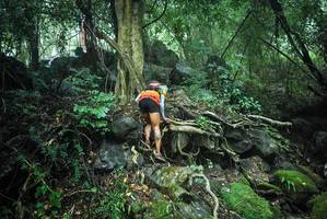 BIB: 
                            <button type="button" onclick="openModal(25198341)" class="btn btn-primary btn-sm float-right btn-popup" data-toggle="modal" data-target=".modal-high-quality">
                        <i class="fas fa-shopping-cart"></i> Add to Cart
                    </button>
                                            <button type="button" onclick="isThisMe(25198341, true)" class="btn btn-success btn-sm float-right btn-popup btn-isme hidden" data-toggle="tooltip" data-placement="bottom" title="นี่คือรูปของคุณใช่ไหม คลิกที่นี่เพื่อเอาเข้าอัลบั้ม">
                        <i class="fas fa-plus"></i> Add to album
                    </button>
                    <button type="button" onclick="isThisMe(25198341, false)" class="btn btn-warning btn-sm float-right btn-popup btn-isnotme hidden">
                        <i class="fas fa-ban"></i> Remove from album
                    </button>