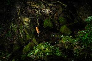 BIB: 
                            <button type="button" onclick="openModal(25199788)" class="btn btn-primary btn-sm float-right btn-popup" data-toggle="modal" data-target=".modal-high-quality">
                        <i class="fas fa-shopping-cart"></i> Add to Cart
                    </button>
                                            <button type="button" onclick="isThisMe(25199788, true)" class="btn btn-success btn-sm float-right btn-popup btn-isme hidden" data-toggle="tooltip" data-placement="bottom" title="นี่คือรูปของคุณใช่ไหม คลิกที่นี่เพื่อเอาเข้าอัลบั้ม">
                        <i class="fas fa-plus"></i> Add to album
                    </button>
                    <button type="button" onclick="isThisMe(25199788, false)" class="btn btn-warning btn-sm float-right btn-popup btn-isnotme hidden">
                        <i class="fas fa-ban"></i> Remove from album
                    </button>