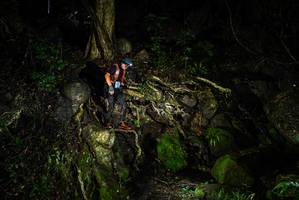 BIB: 
                            <button type="button" onclick="openModal(25200000)" class="btn btn-primary btn-sm float-right btn-popup" data-toggle="modal" data-target=".modal-high-quality">
                        <i class="fas fa-shopping-cart"></i> Add to Cart
                    </button>
                                            <button type="button" onclick="isThisMe(25200000, true)" class="btn btn-success btn-sm float-right btn-popup btn-isme hidden" data-toggle="tooltip" data-placement="bottom" title="นี่คือรูปของคุณใช่ไหม คลิกที่นี่เพื่อเอาเข้าอัลบั้ม">
                        <i class="fas fa-plus"></i> Add to album
                    </button>
                    <button type="button" onclick="isThisMe(25200000, false)" class="btn btn-warning btn-sm float-right btn-popup btn-isnotme hidden">
                        <i class="fas fa-ban"></i> Remove from album
                    </button>