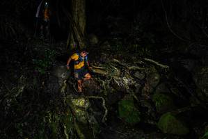 BIB: 
                            <button type="button" onclick="openModal(25200964)" class="btn btn-primary btn-sm float-right btn-popup" data-toggle="modal" data-target=".modal-high-quality">
                        <i class="fas fa-shopping-cart"></i> Add to Cart
                    </button>
                                            <button type="button" onclick="isThisMe(25200964, true)" class="btn btn-success btn-sm float-right btn-popup btn-isme hidden" data-toggle="tooltip" data-placement="bottom" title="นี่คือรูปของคุณใช่ไหม คลิกที่นี่เพื่อเอาเข้าอัลบั้ม">
                        <i class="fas fa-plus"></i> Add to album
                    </button>
                    <button type="button" onclick="isThisMe(25200964, false)" class="btn btn-warning btn-sm float-right btn-popup btn-isnotme hidden">
                        <i class="fas fa-ban"></i> Remove from album
                    </button>