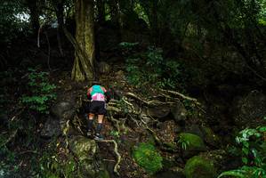 BIB: 
                            <button type="button" onclick="openModal(25198760)" class="btn btn-primary btn-sm float-right btn-popup" data-toggle="modal" data-target=".modal-high-quality">
                        <i class="fas fa-shopping-cart"></i> Add to Cart
                    </button>
                                            <button type="button" onclick="isThisMe(25198760, true)" class="btn btn-success btn-sm float-right btn-popup btn-isme hidden" data-toggle="tooltip" data-placement="bottom" title="นี่คือรูปของคุณใช่ไหม คลิกที่นี่เพื่อเอาเข้าอัลบั้ม">
                        <i class="fas fa-plus"></i> Add to album
                    </button>
                    <button type="button" onclick="isThisMe(25198760, false)" class="btn btn-warning btn-sm float-right btn-popup btn-isnotme hidden">
                        <i class="fas fa-ban"></i> Remove from album
                    </button>