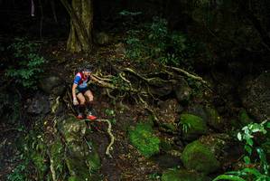 BIB: 
                            <button type="button" onclick="openModal(25198642)" class="btn btn-primary btn-sm float-right btn-popup" data-toggle="modal" data-target=".modal-high-quality">
                        <i class="fas fa-shopping-cart"></i> Add to Cart
                    </button>
                                            <button type="button" onclick="isThisMe(25198642, true)" class="btn btn-success btn-sm float-right btn-popup btn-isme hidden" data-toggle="tooltip" data-placement="bottom" title="นี่คือรูปของคุณใช่ไหม คลิกที่นี่เพื่อเอาเข้าอัลบั้ม">
                        <i class="fas fa-plus"></i> Add to album
                    </button>
                    <button type="button" onclick="isThisMe(25198642, false)" class="btn btn-warning btn-sm float-right btn-popup btn-isnotme hidden">
                        <i class="fas fa-ban"></i> Remove from album
                    </button>