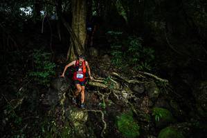 BIB: 
                            <button type="button" onclick="openModal(25199217)" class="btn btn-primary btn-sm float-right btn-popup" data-toggle="modal" data-target=".modal-high-quality">
                        <i class="fas fa-shopping-cart"></i> Add to Cart
                    </button>
                                            <button type="button" onclick="isThisMe(25199217, true)" class="btn btn-success btn-sm float-right btn-popup btn-isme hidden" data-toggle="tooltip" data-placement="bottom" title="นี่คือรูปของคุณใช่ไหม คลิกที่นี่เพื่อเอาเข้าอัลบั้ม">
                        <i class="fas fa-plus"></i> Add to album
                    </button>
                    <button type="button" onclick="isThisMe(25199217, false)" class="btn btn-warning btn-sm float-right btn-popup btn-isnotme hidden">
                        <i class="fas fa-ban"></i> Remove from album
                    </button>