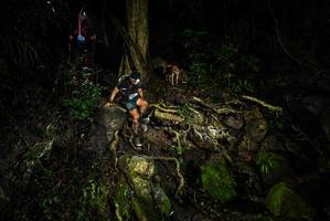 BIB: 
                            <button type="button" onclick="openModal(25199760)" class="btn btn-primary btn-sm float-right btn-popup" data-toggle="modal" data-target=".modal-high-quality">
                        <i class="fas fa-shopping-cart"></i> Add to Cart
                    </button>
                                            <button type="button" onclick="isThisMe(25199760, true)" class="btn btn-success btn-sm float-right btn-popup btn-isme hidden" data-toggle="tooltip" data-placement="bottom" title="นี่คือรูปของคุณใช่ไหม คลิกที่นี่เพื่อเอาเข้าอัลบั้ม">
                        <i class="fas fa-plus"></i> Add to album
                    </button>
                    <button type="button" onclick="isThisMe(25199760, false)" class="btn btn-warning btn-sm float-right btn-popup btn-isnotme hidden">
                        <i class="fas fa-ban"></i> Remove from album
                    </button>