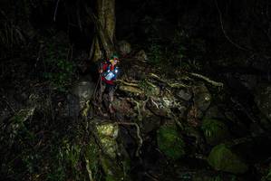 BIB: 
                            <button type="button" onclick="openModal(25201502)" class="btn btn-primary btn-sm float-right btn-popup" data-toggle="modal" data-target=".modal-high-quality">
                        <i class="fas fa-shopping-cart"></i> Add to Cart
                    </button>
                                            <button type="button" onclick="isThisMe(25201502, true)" class="btn btn-success btn-sm float-right btn-popup btn-isme hidden" data-toggle="tooltip" data-placement="bottom" title="นี่คือรูปของคุณใช่ไหม คลิกที่นี่เพื่อเอาเข้าอัลบั้ม">
                        <i class="fas fa-plus"></i> Add to album
                    </button>
                    <button type="button" onclick="isThisMe(25201502, false)" class="btn btn-warning btn-sm float-right btn-popup btn-isnotme hidden">
                        <i class="fas fa-ban"></i> Remove from album
                    </button>