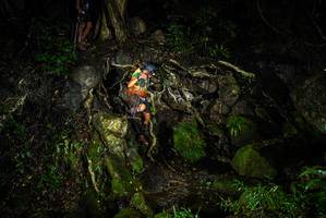 BIB: 
                            <button type="button" onclick="openModal(25199589)" class="btn btn-primary btn-sm float-right btn-popup" data-toggle="modal" data-target=".modal-high-quality">
                        <i class="fas fa-shopping-cart"></i> Add to Cart
                    </button>
                                            <button type="button" onclick="isThisMe(25199589, true)" class="btn btn-success btn-sm float-right btn-popup btn-isme hidden" data-toggle="tooltip" data-placement="bottom" title="นี่คือรูปของคุณใช่ไหม คลิกที่นี่เพื่อเอาเข้าอัลบั้ม">
                        <i class="fas fa-plus"></i> Add to album
                    </button>
                    <button type="button" onclick="isThisMe(25199589, false)" class="btn btn-warning btn-sm float-right btn-popup btn-isnotme hidden">
                        <i class="fas fa-ban"></i> Remove from album
                    </button>