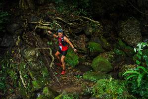 BIB: 
                            <button type="button" onclick="openModal(25198653)" class="btn btn-primary btn-sm float-right btn-popup" data-toggle="modal" data-target=".modal-high-quality">
                        <i class="fas fa-shopping-cart"></i> Add to Cart
                    </button>
                                            <button type="button" onclick="isThisMe(25198653, true)" class="btn btn-success btn-sm float-right btn-popup btn-isme hidden" data-toggle="tooltip" data-placement="bottom" title="นี่คือรูปของคุณใช่ไหม คลิกที่นี่เพื่อเอาเข้าอัลบั้ม">
                        <i class="fas fa-plus"></i> Add to album
                    </button>
                    <button type="button" onclick="isThisMe(25198653, false)" class="btn btn-warning btn-sm float-right btn-popup btn-isnotme hidden">
                        <i class="fas fa-ban"></i> Remove from album
                    </button>