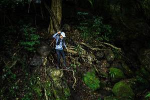 BIB: 
                            <button type="button" onclick="openModal(25199147)" class="btn btn-primary btn-sm float-right btn-popup" data-toggle="modal" data-target=".modal-high-quality">
                        <i class="fas fa-shopping-cart"></i> Add to Cart
                    </button>
                                            <button type="button" onclick="isThisMe(25199147, true)" class="btn btn-success btn-sm float-right btn-popup btn-isme hidden" data-toggle="tooltip" data-placement="bottom" title="นี่คือรูปของคุณใช่ไหม คลิกที่นี่เพื่อเอาเข้าอัลบั้ม">
                        <i class="fas fa-plus"></i> Add to album
                    </button>
                    <button type="button" onclick="isThisMe(25199147, false)" class="btn btn-warning btn-sm float-right btn-popup btn-isnotme hidden">
                        <i class="fas fa-ban"></i> Remove from album
                    </button>