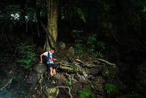 BIB: 
                            <button type="button" onclick="openModal(25198912)" class="btn btn-primary btn-sm float-right btn-popup" data-toggle="modal" data-target=".modal-high-quality">
                        <i class="fas fa-shopping-cart"></i> Add to Cart
                    </button>
                                            <button type="button" onclick="isThisMe(25198912, true)" class="btn btn-success btn-sm float-right btn-popup btn-isme hidden" data-toggle="tooltip" data-placement="bottom" title="นี่คือรูปของคุณใช่ไหม คลิกที่นี่เพื่อเอาเข้าอัลบั้ม">
                        <i class="fas fa-plus"></i> Add to album
                    </button>
                    <button type="button" onclick="isThisMe(25198912, false)" class="btn btn-warning btn-sm float-right btn-popup btn-isnotme hidden">
                        <i class="fas fa-ban"></i> Remove from album
                    </button>