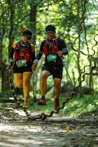 BIB: 
                            <button type="button" onclick="openModal(25204371)" class="btn btn-primary btn-sm float-right btn-popup" data-toggle="modal" data-target=".modal-high-quality">
                        <i class="fas fa-shopping-cart"></i> Add to Cart
                    </button>
                                            <button type="button" onclick="isThisMe(25204371, true)" class="btn btn-success btn-sm float-right btn-popup btn-isme hidden" data-toggle="tooltip" data-placement="bottom" title="นี่คือรูปของคุณใช่ไหม คลิกที่นี่เพื่อเอาเข้าอัลบั้ม">
                        <i class="fas fa-plus"></i> Add to album
                    </button>
                    <button type="button" onclick="isThisMe(25204371, false)" class="btn btn-warning btn-sm float-right btn-popup btn-isnotme hidden">
                        <i class="fas fa-ban"></i> Remove from album
                    </button>