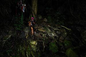 BIB: 
                            <button type="button" onclick="openModal(25201258)" class="btn btn-primary btn-sm float-right btn-popup" data-toggle="modal" data-target=".modal-high-quality">
                        <i class="fas fa-shopping-cart"></i> Add to Cart
                    </button>
                                            <button type="button" onclick="isThisMe(25201258, true)" class="btn btn-success btn-sm float-right btn-popup btn-isme hidden" data-toggle="tooltip" data-placement="bottom" title="นี่คือรูปของคุณใช่ไหม คลิกที่นี่เพื่อเอาเข้าอัลบั้ม">
                        <i class="fas fa-plus"></i> Add to album
                    </button>
                    <button type="button" onclick="isThisMe(25201258, false)" class="btn btn-warning btn-sm float-right btn-popup btn-isnotme hidden">
                        <i class="fas fa-ban"></i> Remove from album
                    </button>