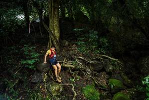 BIB: 
                            <button type="button" onclick="openModal(25198742)" class="btn btn-primary btn-sm float-right btn-popup" data-toggle="modal" data-target=".modal-high-quality">
                        <i class="fas fa-shopping-cart"></i> Add to Cart
                    </button>
                                            <button type="button" onclick="isThisMe(25198742, true)" class="btn btn-success btn-sm float-right btn-popup btn-isme hidden" data-toggle="tooltip" data-placement="bottom" title="นี่คือรูปของคุณใช่ไหม คลิกที่นี่เพื่อเอาเข้าอัลบั้ม">
                        <i class="fas fa-plus"></i> Add to album
                    </button>
                    <button type="button" onclick="isThisMe(25198742, false)" class="btn btn-warning btn-sm float-right btn-popup btn-isnotme hidden">
                        <i class="fas fa-ban"></i> Remove from album
                    </button>