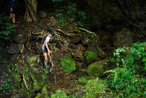 BIB: 
                            <button type="button" onclick="openModal(25198664)" class="btn btn-primary btn-sm float-right btn-popup" data-toggle="modal" data-target=".modal-high-quality">
                        <i class="fas fa-shopping-cart"></i> Add to Cart
                    </button>
                                            <button type="button" onclick="isThisMe(25198664, true)" class="btn btn-success btn-sm float-right btn-popup btn-isme hidden" data-toggle="tooltip" data-placement="bottom" title="นี่คือรูปของคุณใช่ไหม คลิกที่นี่เพื่อเอาเข้าอัลบั้ม">
                        <i class="fas fa-plus"></i> Add to album
                    </button>
                    <button type="button" onclick="isThisMe(25198664, false)" class="btn btn-warning btn-sm float-right btn-popup btn-isnotme hidden">
                        <i class="fas fa-ban"></i> Remove from album
                    </button>