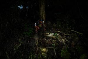 BIB: 
                            <button type="button" onclick="openModal(25199378)" class="btn btn-primary btn-sm float-right btn-popup" data-toggle="modal" data-target=".modal-high-quality">
                        <i class="fas fa-shopping-cart"></i> Add to Cart
                    </button>
                                            <button type="button" onclick="isThisMe(25199378, true)" class="btn btn-success btn-sm float-right btn-popup btn-isme hidden" data-toggle="tooltip" data-placement="bottom" title="นี่คือรูปของคุณใช่ไหม คลิกที่นี่เพื่อเอาเข้าอัลบั้ม">
                        <i class="fas fa-plus"></i> Add to album
                    </button>
                    <button type="button" onclick="isThisMe(25199378, false)" class="btn btn-warning btn-sm float-right btn-popup btn-isnotme hidden">
                        <i class="fas fa-ban"></i> Remove from album
                    </button>