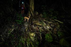 BIB: 
                            <button type="button" onclick="openModal(25199784)" class="btn btn-primary btn-sm float-right btn-popup" data-toggle="modal" data-target=".modal-high-quality">
                        <i class="fas fa-shopping-cart"></i> Add to Cart
                    </button>
                                            <button type="button" onclick="isThisMe(25199784, true)" class="btn btn-success btn-sm float-right btn-popup btn-isme hidden" data-toggle="tooltip" data-placement="bottom" title="นี่คือรูปของคุณใช่ไหม คลิกที่นี่เพื่อเอาเข้าอัลบั้ม">
                        <i class="fas fa-plus"></i> Add to album
                    </button>
                    <button type="button" onclick="isThisMe(25199784, false)" class="btn btn-warning btn-sm float-right btn-popup btn-isnotme hidden">
                        <i class="fas fa-ban"></i> Remove from album
                    </button>