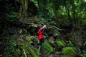 BIB: 
                            <button type="button" onclick="openModal(25198287)" class="btn btn-primary btn-sm float-right btn-popup" data-toggle="modal" data-target=".modal-high-quality">
                        <i class="fas fa-shopping-cart"></i> Add to Cart
                    </button>
                                            <button type="button" onclick="isThisMe(25198287, true)" class="btn btn-success btn-sm float-right btn-popup btn-isme hidden" data-toggle="tooltip" data-placement="bottom" title="นี่คือรูปของคุณใช่ไหม คลิกที่นี่เพื่อเอาเข้าอัลบั้ม">
                        <i class="fas fa-plus"></i> Add to album
                    </button>
                    <button type="button" onclick="isThisMe(25198287, false)" class="btn btn-warning btn-sm float-right btn-popup btn-isnotme hidden">
                        <i class="fas fa-ban"></i> Remove from album
                    </button>