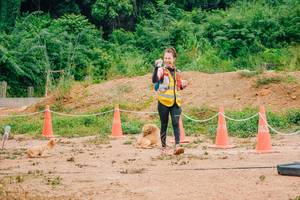 BIB: 
                            <button type="button" onclick="openModal(25071026)" class="btn btn-primary btn-sm float-right btn-popup" data-toggle="modal" data-target=".modal-high-quality">
                        <i class="fas fa-shopping-cart"></i> Add to Cart
                    </button>
                                            <button type="button" onclick="isThisMe(25071026, true)" class="btn btn-success btn-sm float-right btn-popup btn-isme hidden" data-toggle="tooltip" data-placement="bottom" title="นี่คือรูปของคุณใช่ไหม คลิกที่นี่เพื่อเอาเข้าอัลบั้ม">
                        <i class="fas fa-plus"></i> Add to album
                    </button>
                    <button type="button" onclick="isThisMe(25071026, false)" class="btn btn-warning btn-sm float-right btn-popup btn-isnotme hidden">
                        <i class="fas fa-ban"></i> Remove from album
                    </button>