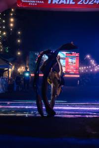 BIB: 
                            <button type="button" onclick="openModal(25076220)" class="btn btn-primary btn-sm float-right btn-popup" data-toggle="modal" data-target=".modal-high-quality">
                        <i class="fas fa-shopping-cart"></i> Add to Cart
                    </button>
                                            <button type="button" onclick="isThisMe(25076220, true)" class="btn btn-success btn-sm float-right btn-popup btn-isme hidden" data-toggle="tooltip" data-placement="bottom" title="นี่คือรูปของคุณใช่ไหม คลิกที่นี่เพื่อเอาเข้าอัลบั้ม">
                        <i class="fas fa-plus"></i> Add to album
                    </button>
                    <button type="button" onclick="isThisMe(25076220, false)" class="btn btn-warning btn-sm float-right btn-popup btn-isnotme hidden">
                        <i class="fas fa-ban"></i> Remove from album
                    </button>