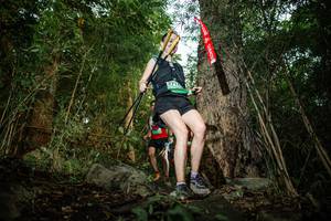 BIB: 
                            <button type="button" onclick="openModal(25123920)" class="btn btn-primary btn-sm float-right btn-popup" data-toggle="modal" data-target=".modal-high-quality">
                        <i class="fas fa-shopping-cart"></i> Add to Cart
                    </button>
                                            <button type="button" onclick="isThisMe(25123920, true)" class="btn btn-success btn-sm float-right btn-popup btn-isme hidden" data-toggle="tooltip" data-placement="bottom" title="นี่คือรูปของคุณใช่ไหม คลิกที่นี่เพื่อเอาเข้าอัลบั้ม">
                        <i class="fas fa-plus"></i> Add to album
                    </button>
                    <button type="button" onclick="isThisMe(25123920, false)" class="btn btn-warning btn-sm float-right btn-popup btn-isnotme hidden">
                        <i class="fas fa-ban"></i> Remove from album
                    </button>