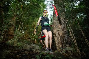 BIB: 
                            <button type="button" onclick="openModal(25123917)" class="btn btn-primary btn-sm float-right btn-popup" data-toggle="modal" data-target=".modal-high-quality">
                        <i class="fas fa-shopping-cart"></i> Add to Cart
                    </button>
                                            <button type="button" onclick="isThisMe(25123917, true)" class="btn btn-success btn-sm float-right btn-popup btn-isme hidden" data-toggle="tooltip" data-placement="bottom" title="นี่คือรูปของคุณใช่ไหม คลิกที่นี่เพื่อเอาเข้าอัลบั้ม">
                        <i class="fas fa-plus"></i> Add to album
                    </button>
                    <button type="button" onclick="isThisMe(25123917, false)" class="btn btn-warning btn-sm float-right btn-popup btn-isnotme hidden">
                        <i class="fas fa-ban"></i> Remove from album
                    </button>