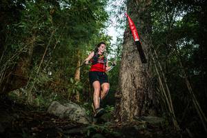 BIB: 
                            <button type="button" onclick="openModal(25123879)" class="btn btn-primary btn-sm float-right btn-popup" data-toggle="modal" data-target=".modal-high-quality">
                        <i class="fas fa-shopping-cart"></i> Add to Cart
                    </button>
                                            <button type="button" onclick="isThisMe(25123879, true)" class="btn btn-success btn-sm float-right btn-popup btn-isme hidden" data-toggle="tooltip" data-placement="bottom" title="นี่คือรูปของคุณใช่ไหม คลิกที่นี่เพื่อเอาเข้าอัลบั้ม">
                        <i class="fas fa-plus"></i> Add to album
                    </button>
                    <button type="button" onclick="isThisMe(25123879, false)" class="btn btn-warning btn-sm float-right btn-popup btn-isnotme hidden">
                        <i class="fas fa-ban"></i> Remove from album
                    </button>