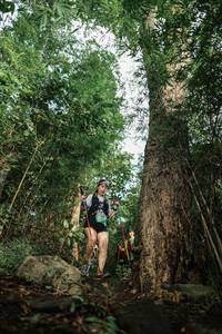 BIB: 
                            <button type="button" onclick="openModal(25170890)" class="btn btn-primary btn-sm float-right btn-popup" data-toggle="modal" data-target=".modal-high-quality">
                        <i class="fas fa-shopping-cart"></i> Add to Cart
                    </button>
                                            <button type="button" onclick="isThisMe(25170890, true)" class="btn btn-success btn-sm float-right btn-popup btn-isme hidden" data-toggle="tooltip" data-placement="bottom" title="นี่คือรูปของคุณใช่ไหม คลิกที่นี่เพื่อเอาเข้าอัลบั้ม">
                        <i class="fas fa-plus"></i> Add to album
                    </button>
                    <button type="button" onclick="isThisMe(25170890, false)" class="btn btn-warning btn-sm float-right btn-popup btn-isnotme hidden">
                        <i class="fas fa-ban"></i> Remove from album
                    </button>