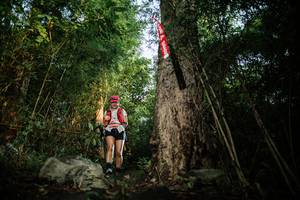 BIB: 
                            <button type="button" onclick="openModal(25164325)" class="btn btn-primary btn-sm float-right btn-popup" data-toggle="modal" data-target=".modal-high-quality">
                        <i class="fas fa-shopping-cart"></i> Add to Cart
                    </button>
                                            <button type="button" onclick="isThisMe(25164325, true)" class="btn btn-success btn-sm float-right btn-popup btn-isme hidden" data-toggle="tooltip" data-placement="bottom" title="นี่คือรูปของคุณใช่ไหม คลิกที่นี่เพื่อเอาเข้าอัลบั้ม">
                        <i class="fas fa-plus"></i> Add to album
                    </button>
                    <button type="button" onclick="isThisMe(25164325, false)" class="btn btn-warning btn-sm float-right btn-popup btn-isnotme hidden">
                        <i class="fas fa-ban"></i> Remove from album
                    </button>