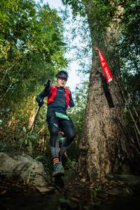 BIB: 
                            <button type="button" onclick="openModal(25163530)" class="btn btn-primary btn-sm float-right btn-popup" data-toggle="modal" data-target=".modal-high-quality">
                        <i class="fas fa-shopping-cart"></i> Add to Cart
                    </button>
                                            <button type="button" onclick="isThisMe(25163530, true)" class="btn btn-success btn-sm float-right btn-popup btn-isme hidden" data-toggle="tooltip" data-placement="bottom" title="นี่คือรูปของคุณใช่ไหม คลิกที่นี่เพื่อเอาเข้าอัลบั้ม">
                        <i class="fas fa-plus"></i> Add to album
                    </button>
                    <button type="button" onclick="isThisMe(25163530, false)" class="btn btn-warning btn-sm float-right btn-popup btn-isnotme hidden">
                        <i class="fas fa-ban"></i> Remove from album
                    </button>