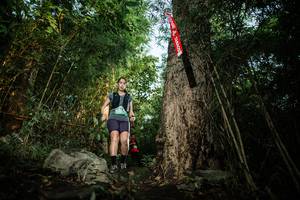 BIB: 
                            <button type="button" onclick="openModal(25164188)" class="btn btn-primary btn-sm float-right btn-popup" data-toggle="modal" data-target=".modal-high-quality">
                        <i class="fas fa-shopping-cart"></i> Add to Cart
                    </button>
                                            <button type="button" onclick="isThisMe(25164188, true)" class="btn btn-success btn-sm float-right btn-popup btn-isme hidden" data-toggle="tooltip" data-placement="bottom" title="นี่คือรูปของคุณใช่ไหม คลิกที่นี่เพื่อเอาเข้าอัลบั้ม">
                        <i class="fas fa-plus"></i> Add to album
                    </button>
                    <button type="button" onclick="isThisMe(25164188, false)" class="btn btn-warning btn-sm float-right btn-popup btn-isnotme hidden">
                        <i class="fas fa-ban"></i> Remove from album
                    </button>