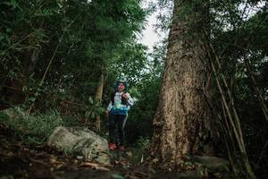 BIB: 
                            <button type="button" onclick="openModal(25178495)" class="btn btn-primary btn-sm float-right btn-popup" data-toggle="modal" data-target=".modal-high-quality">
                        <i class="fas fa-shopping-cart"></i> Add to Cart
                    </button>
                                            <button type="button" onclick="isThisMe(25178495, true)" class="btn btn-success btn-sm float-right btn-popup btn-isme hidden" data-toggle="tooltip" data-placement="bottom" title="นี่คือรูปของคุณใช่ไหม คลิกที่นี่เพื่อเอาเข้าอัลบั้ม">
                        <i class="fas fa-plus"></i> Add to album
                    </button>
                    <button type="button" onclick="isThisMe(25178495, false)" class="btn btn-warning btn-sm float-right btn-popup btn-isnotme hidden">
                        <i class="fas fa-ban"></i> Remove from album
                    </button>