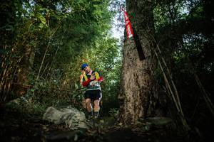 BIB: 
                            <button type="button" onclick="openModal(25164394)" class="btn btn-primary btn-sm float-right btn-popup" data-toggle="modal" data-target=".modal-high-quality">
                        <i class="fas fa-shopping-cart"></i> Add to Cart
                    </button>
                                            <button type="button" onclick="isThisMe(25164394, true)" class="btn btn-success btn-sm float-right btn-popup btn-isme hidden" data-toggle="tooltip" data-placement="bottom" title="นี่คือรูปของคุณใช่ไหม คลิกที่นี่เพื่อเอาเข้าอัลบั้ม">
                        <i class="fas fa-plus"></i> Add to album
                    </button>
                    <button type="button" onclick="isThisMe(25164394, false)" class="btn btn-warning btn-sm float-right btn-popup btn-isnotme hidden">
                        <i class="fas fa-ban"></i> Remove from album
                    </button>