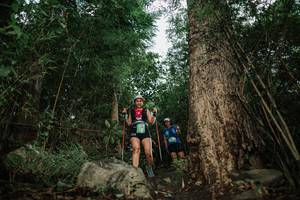 BIB: 
                            <button type="button" onclick="openModal(25178607)" class="btn btn-primary btn-sm float-right btn-popup" data-toggle="modal" data-target=".modal-high-quality">
                        <i class="fas fa-shopping-cart"></i> Add to Cart
                    </button>
                                            <button type="button" onclick="isThisMe(25178607, true)" class="btn btn-success btn-sm float-right btn-popup btn-isme hidden" data-toggle="tooltip" data-placement="bottom" title="นี่คือรูปของคุณใช่ไหม คลิกที่นี่เพื่อเอาเข้าอัลบั้ม">
                        <i class="fas fa-plus"></i> Add to album
                    </button>
                    <button type="button" onclick="isThisMe(25178607, false)" class="btn btn-warning btn-sm float-right btn-popup btn-isnotme hidden">
                        <i class="fas fa-ban"></i> Remove from album
                    </button>