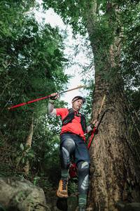 BIB: 
                            <button type="button" onclick="openModal(25175924)" class="btn btn-primary btn-sm float-right btn-popup" data-toggle="modal" data-target=".modal-high-quality">
                        <i class="fas fa-shopping-cart"></i> Add to Cart
                    </button>
                                            <button type="button" onclick="isThisMe(25175924, true)" class="btn btn-success btn-sm float-right btn-popup btn-isme hidden" data-toggle="tooltip" data-placement="bottom" title="นี่คือรูปของคุณใช่ไหม คลิกที่นี่เพื่อเอาเข้าอัลบั้ม">
                        <i class="fas fa-plus"></i> Add to album
                    </button>
                    <button type="button" onclick="isThisMe(25175924, false)" class="btn btn-warning btn-sm float-right btn-popup btn-isnotme hidden">
                        <i class="fas fa-ban"></i> Remove from album
                    </button>