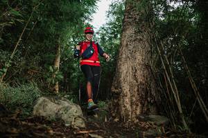 BIB: 
                            <button type="button" onclick="openModal(25176230)" class="btn btn-primary btn-sm float-right btn-popup" data-toggle="modal" data-target=".modal-high-quality">
                        <i class="fas fa-shopping-cart"></i> Add to Cart
                    </button>
                                            <button type="button" onclick="isThisMe(25176230, true)" class="btn btn-success btn-sm float-right btn-popup btn-isme hidden" data-toggle="tooltip" data-placement="bottom" title="นี่คือรูปของคุณใช่ไหม คลิกที่นี่เพื่อเอาเข้าอัลบั้ม">
                        <i class="fas fa-plus"></i> Add to album
                    </button>
                    <button type="button" onclick="isThisMe(25176230, false)" class="btn btn-warning btn-sm float-right btn-popup btn-isnotme hidden">
                        <i class="fas fa-ban"></i> Remove from album
                    </button>