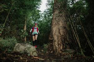 BIB: 
                            <button type="button" onclick="openModal(25177241)" class="btn btn-primary btn-sm float-right btn-popup" data-toggle="modal" data-target=".modal-high-quality">
                        <i class="fas fa-shopping-cart"></i> Add to Cart
                    </button>
                                            <button type="button" onclick="isThisMe(25177241, true)" class="btn btn-success btn-sm float-right btn-popup btn-isme hidden" data-toggle="tooltip" data-placement="bottom" title="นี่คือรูปของคุณใช่ไหม คลิกที่นี่เพื่อเอาเข้าอัลบั้ม">
                        <i class="fas fa-plus"></i> Add to album
                    </button>
                    <button type="button" onclick="isThisMe(25177241, false)" class="btn btn-warning btn-sm float-right btn-popup btn-isnotme hidden">
                        <i class="fas fa-ban"></i> Remove from album
                    </button>