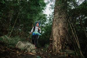 BIB: 
                            <button type="button" onclick="openModal(25178497)" class="btn btn-primary btn-sm float-right btn-popup" data-toggle="modal" data-target=".modal-high-quality">
                        <i class="fas fa-shopping-cart"></i> Add to Cart
                    </button>
                                            <button type="button" onclick="isThisMe(25178497, true)" class="btn btn-success btn-sm float-right btn-popup btn-isme hidden" data-toggle="tooltip" data-placement="bottom" title="นี่คือรูปของคุณใช่ไหม คลิกที่นี่เพื่อเอาเข้าอัลบั้ม">
                        <i class="fas fa-plus"></i> Add to album
                    </button>
                    <button type="button" onclick="isThisMe(25178497, false)" class="btn btn-warning btn-sm float-right btn-popup btn-isnotme hidden">
                        <i class="fas fa-ban"></i> Remove from album
                    </button>