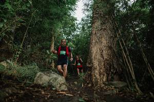 BIB: 
                            <button type="button" onclick="openModal(25177362)" class="btn btn-primary btn-sm float-right btn-popup" data-toggle="modal" data-target=".modal-high-quality">
                        <i class="fas fa-shopping-cart"></i> Add to Cart
                    </button>
                                            <button type="button" onclick="isThisMe(25177362, true)" class="btn btn-success btn-sm float-right btn-popup btn-isme hidden" data-toggle="tooltip" data-placement="bottom" title="นี่คือรูปของคุณใช่ไหม คลิกที่นี่เพื่อเอาเข้าอัลบั้ม">
                        <i class="fas fa-plus"></i> Add to album
                    </button>
                    <button type="button" onclick="isThisMe(25177362, false)" class="btn btn-warning btn-sm float-right btn-popup btn-isnotme hidden">
                        <i class="fas fa-ban"></i> Remove from album
                    </button>