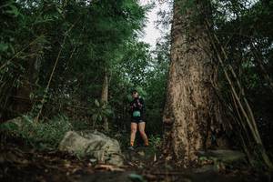 BIB: 
                            <button type="button" onclick="openModal(25179490)" class="btn btn-primary btn-sm float-right btn-popup" data-toggle="modal" data-target=".modal-high-quality">
                        <i class="fas fa-shopping-cart"></i> Add to Cart
                    </button>
                                            <button type="button" onclick="isThisMe(25179490, true)" class="btn btn-success btn-sm float-right btn-popup btn-isme hidden" data-toggle="tooltip" data-placement="bottom" title="นี่คือรูปของคุณใช่ไหม คลิกที่นี่เพื่อเอาเข้าอัลบั้ม">
                        <i class="fas fa-plus"></i> Add to album
                    </button>
                    <button type="button" onclick="isThisMe(25179490, false)" class="btn btn-warning btn-sm float-right btn-popup btn-isnotme hidden">
                        <i class="fas fa-ban"></i> Remove from album
                    </button>