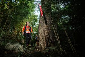 BIB: 
                            <button type="button" onclick="openModal(25163892)" class="btn btn-primary btn-sm float-right btn-popup" data-toggle="modal" data-target=".modal-high-quality">
                        <i class="fas fa-shopping-cart"></i> Add to Cart
                    </button>
                                            <button type="button" onclick="isThisMe(25163892, true)" class="btn btn-success btn-sm float-right btn-popup btn-isme hidden" data-toggle="tooltip" data-placement="bottom" title="นี่คือรูปของคุณใช่ไหม คลิกที่นี่เพื่อเอาเข้าอัลบั้ม">
                        <i class="fas fa-plus"></i> Add to album
                    </button>
                    <button type="button" onclick="isThisMe(25163892, false)" class="btn btn-warning btn-sm float-right btn-popup btn-isnotme hidden">
                        <i class="fas fa-ban"></i> Remove from album
                    </button>