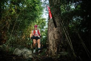 BIB: 
                            <button type="button" onclick="openModal(25164334)" class="btn btn-primary btn-sm float-right btn-popup" data-toggle="modal" data-target=".modal-high-quality">
                        <i class="fas fa-shopping-cart"></i> Add to Cart
                    </button>
                                            <button type="button" onclick="isThisMe(25164334, true)" class="btn btn-success btn-sm float-right btn-popup btn-isme hidden" data-toggle="tooltip" data-placement="bottom" title="นี่คือรูปของคุณใช่ไหม คลิกที่นี่เพื่อเอาเข้าอัลบั้ม">
                        <i class="fas fa-plus"></i> Add to album
                    </button>
                    <button type="button" onclick="isThisMe(25164334, false)" class="btn btn-warning btn-sm float-right btn-popup btn-isnotme hidden">
                        <i class="fas fa-ban"></i> Remove from album
                    </button>