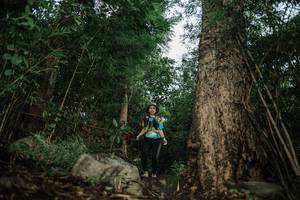 BIB: 
                            <button type="button" onclick="openModal(25180162)" class="btn btn-primary btn-sm float-right btn-popup" data-toggle="modal" data-target=".modal-high-quality">
                        <i class="fas fa-shopping-cart"></i> Add to Cart
                    </button>
                                            <button type="button" onclick="isThisMe(25180162, true)" class="btn btn-success btn-sm float-right btn-popup btn-isme hidden" data-toggle="tooltip" data-placement="bottom" title="นี่คือรูปของคุณใช่ไหม คลิกที่นี่เพื่อเอาเข้าอัลบั้ม">
                        <i class="fas fa-plus"></i> Add to album
                    </button>
                    <button type="button" onclick="isThisMe(25180162, false)" class="btn btn-warning btn-sm float-right btn-popup btn-isnotme hidden">
                        <i class="fas fa-ban"></i> Remove from album
                    </button>