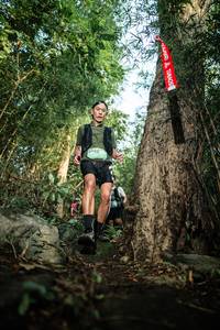 BIB: 
                            <button type="button" onclick="openModal(25166715)" class="btn btn-primary btn-sm float-right btn-popup" data-toggle="modal" data-target=".modal-high-quality">
                        <i class="fas fa-shopping-cart"></i> Add to Cart
                    </button>
                                            <button type="button" onclick="isThisMe(25166715, true)" class="btn btn-success btn-sm float-right btn-popup btn-isme hidden" data-toggle="tooltip" data-placement="bottom" title="นี่คือรูปของคุณใช่ไหม คลิกที่นี่เพื่อเอาเข้าอัลบั้ม">
                        <i class="fas fa-plus"></i> Add to album
                    </button>
                    <button type="button" onclick="isThisMe(25166715, false)" class="btn btn-warning btn-sm float-right btn-popup btn-isnotme hidden">
                        <i class="fas fa-ban"></i> Remove from album
                    </button>