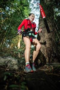 BIB: 
                            <button type="button" onclick="openModal(25166228)" class="btn btn-primary btn-sm float-right btn-popup" data-toggle="modal" data-target=".modal-high-quality">
                        <i class="fas fa-shopping-cart"></i> Add to Cart
                    </button>
                                            <button type="button" onclick="isThisMe(25166228, true)" class="btn btn-success btn-sm float-right btn-popup btn-isme hidden" data-toggle="tooltip" data-placement="bottom" title="นี่คือรูปของคุณใช่ไหม คลิกที่นี่เพื่อเอาเข้าอัลบั้ม">
                        <i class="fas fa-plus"></i> Add to album
                    </button>
                    <button type="button" onclick="isThisMe(25166228, false)" class="btn btn-warning btn-sm float-right btn-popup btn-isnotme hidden">
                        <i class="fas fa-ban"></i> Remove from album
                    </button>