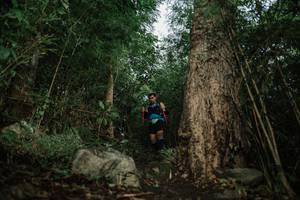 BIB: 
                            <button type="button" onclick="openModal(25163931)" class="btn btn-primary btn-sm float-right btn-popup" data-toggle="modal" data-target=".modal-high-quality">
                        <i class="fas fa-shopping-cart"></i> Add to Cart
                    </button>
                                            <button type="button" onclick="isThisMe(25163931, true)" class="btn btn-success btn-sm float-right btn-popup btn-isme hidden" data-toggle="tooltip" data-placement="bottom" title="นี่คือรูปของคุณใช่ไหม คลิกที่นี่เพื่อเอาเข้าอัลบั้ม">
                        <i class="fas fa-plus"></i> Add to album
                    </button>
                    <button type="button" onclick="isThisMe(25163931, false)" class="btn btn-warning btn-sm float-right btn-popup btn-isnotme hidden">
                        <i class="fas fa-ban"></i> Remove from album
                    </button>