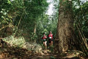 BIB: 
                            <button type="button" onclick="openModal(25169023)" class="btn btn-primary btn-sm float-right btn-popup" data-toggle="modal" data-target=".modal-high-quality">
                        <i class="fas fa-shopping-cart"></i> Add to Cart
                    </button>
                                            <button type="button" onclick="isThisMe(25169023, true)" class="btn btn-success btn-sm float-right btn-popup btn-isme hidden" data-toggle="tooltip" data-placement="bottom" title="นี่คือรูปของคุณใช่ไหม คลิกที่นี่เพื่อเอาเข้าอัลบั้ม">
                        <i class="fas fa-plus"></i> Add to album
                    </button>
                    <button type="button" onclick="isThisMe(25169023, false)" class="btn btn-warning btn-sm float-right btn-popup btn-isnotme hidden">
                        <i class="fas fa-ban"></i> Remove from album
                    </button>