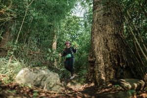 BIB: 
                            <button type="button" onclick="openModal(25169445)" class="btn btn-primary btn-sm float-right btn-popup" data-toggle="modal" data-target=".modal-high-quality">
                        <i class="fas fa-shopping-cart"></i> Add to Cart
                    </button>
                                            <button type="button" onclick="isThisMe(25169445, true)" class="btn btn-success btn-sm float-right btn-popup btn-isme hidden" data-toggle="tooltip" data-placement="bottom" title="นี่คือรูปของคุณใช่ไหม คลิกที่นี่เพื่อเอาเข้าอัลบั้ม">
                        <i class="fas fa-plus"></i> Add to album
                    </button>
                    <button type="button" onclick="isThisMe(25169445, false)" class="btn btn-warning btn-sm float-right btn-popup btn-isnotme hidden">
                        <i class="fas fa-ban"></i> Remove from album
                    </button>